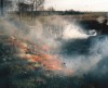 Zagrożenie pożarami w lasach